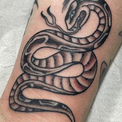 snek2.jpg